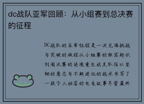 dc战队亚军回顾：从小组赛到总决赛的征程